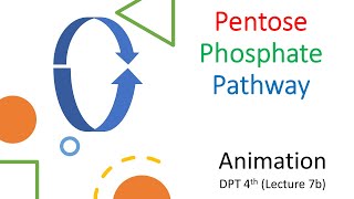 Animated Pentose Phosphate Pathway Complete [upl. by Hyacinthia313]