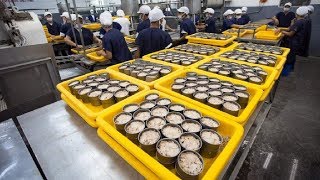 How it made Canned Tuna processing line in Factory [upl. by Neyud]