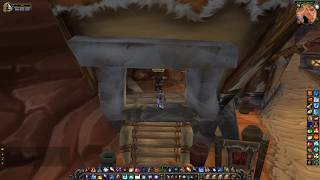 Orgrimmar Guild Master Location WoW Classic [upl. by Lletnom]