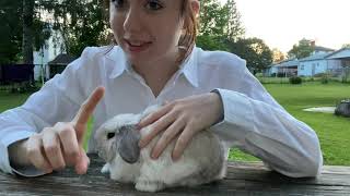 4H Rabbit Showmanship Demonstration [upl. by Klos]