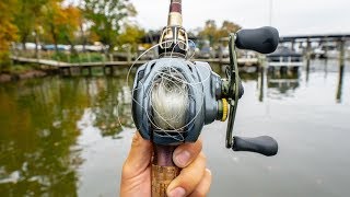 Best Baitcasting Reel EVER or Overhyped Shimano Curado DC Reel Review [upl. by Tallbott]