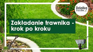 Zakładanie trawnika w 7 krokach [upl. by Socha]