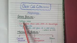 Renal Cell Carcinoma  Pathology [upl. by Leirda]