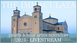 Eighth Sunday after Pentecost  The Immaculata [upl. by Ayortal27]