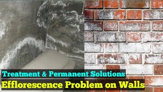 Efflorescence Effect amp Treatment  How to Remove Efflorescence from Brick [upl. by Hahnke]