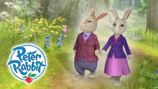 Peter Rabbit  Parents Day  Curious Bunnies  Cartoons for Kids [upl. by Hufnagel27]