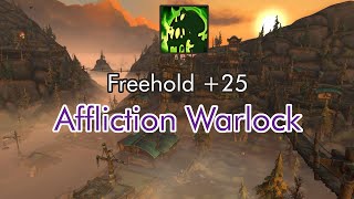 Freehold 25  Affliction Warlock  Dragonflight Season 2 [upl. by Sabra228]