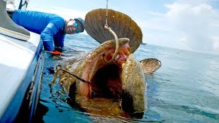 Caught a Monster Grouper that Weighed MORE than the BOAT [upl. by Leissam]