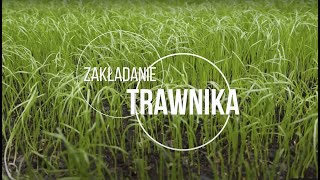 Zakładanie trawnika — 10 prostych kroków [upl. by Ardiedak451]