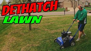 Dethatching A Lawn With Bluebird Power Rake [upl. by Amador858]