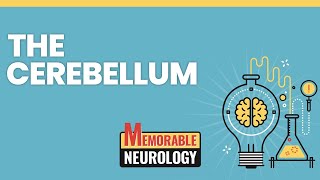 Cerebellum Mnemonics Memorable Neurology Lecture 6 [upl. by Asikal]