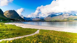 Uplifting Music  light positive happy music Gullrosøya  1 hour [upl. by Timrek771]