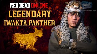 Red Dead Online  Legendary Iwakta Panther Mission Animal Field Guide [upl. by Ikkin440]