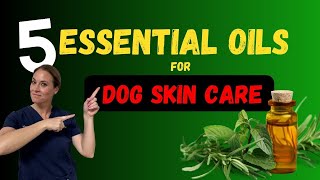 Top 5 Essential Oils For Dog Skin Health  Holistic Vet  Dr Katie Woodley [upl. by Malamut]