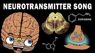 THE NEUROTRANSMITTER SONG [upl. by Kevyn982]