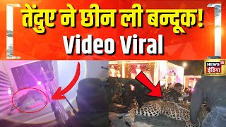 लखनऊ में शादी में घुसा तेंदुआ  Leopard Attack  Lucknow News  Hindi News [upl. by Haswell]