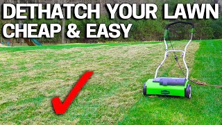 How to DETHATCH an UGLY LAWN  CHEAP [upl. by Ajnot]