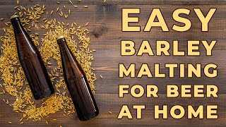 How to Malt Barley at Home  Homemade Beer Recipe  Homebrew India [upl. by Melisande]