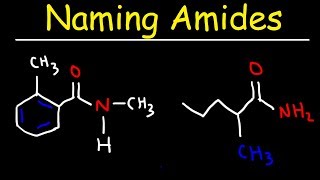 Naming Amides  IUPAC Nomenclature [upl. by Ennylyak]