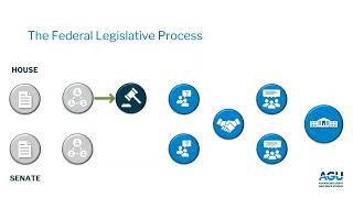 From Bill to Law The US Legislative Process [upl. by Oralia]