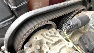 Volvo Timing Belt  Is it about to snap 😱  How to check for yourself [upl. by Elicul]