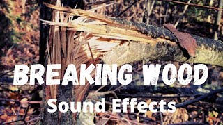 Breaking Wood Sound Effect  Crate Shattering [upl. by Adnohsak]