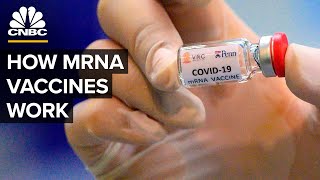 What Is An mRNA Coronavirus Vaccine [upl. by Karmen]