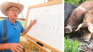 Joel Salatin Teaches Pasture Pigs for Profit [upl. by Anjela435]