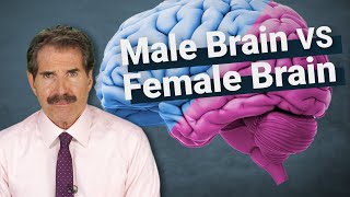 Stossel The Science Around Male Brains vs Female Brains [upl. by Ainola799]