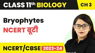 Bryophytes  NCERT बूटी  Plant Kingdom  Class 11 Biology Chapter 3  NCERTCBSE [upl. by Nrol]