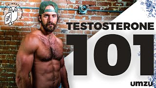 Testosterone 101 How To Increase Testosterone LH and FSH [upl. by Bonn485]