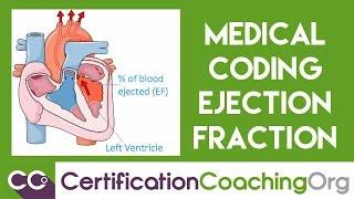 Medical Coding Ejection Fraction Diagnosis [upl. by Kcirdlek]