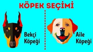 Size En Uygun Köpek Cinsini Nasıl Seçersiniz [upl. by Araid]