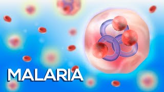 ¡La Malaria en menos de 10 minutos  Animación [upl. by Elie584]