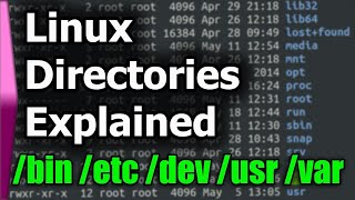 Linux File SystemStructure Explained [upl. by Arjan]