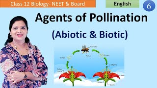 Agents of Cross Pollination NCERT Class 12 [upl. by Daria]