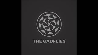 The Gadflies  Beyond [upl. by Rayle4]