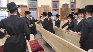 rabbi jungreis shlita at the woodbourne shul 2024 [upl. by Yemrots]