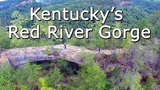 Kentuckys Red River Gorge Natural Bridges and Daniel Boone National Forest  An Aerial View [upl. by Mellisa349]