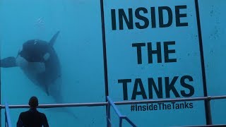 Inside The Tanks Full Documentary [upl. by Macri]