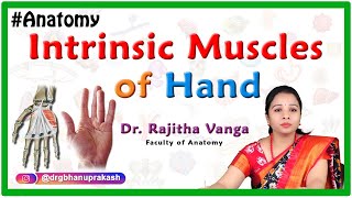 Intrinsic Muscles of the Hand [upl. by Bobinette]