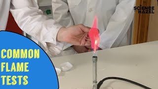 Flame Tests  Chemistry Practicals [upl. by Noleta971]