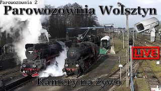 Parowozownia Wolsztyn  kamery na żywo 🚂 [upl. by Maris469]