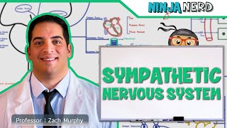 Neurology  Sympathetic Nervous System [upl. by Dyanna55]