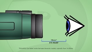 Understanding Binoculars Eye Relief [upl. by Nemhauser]