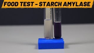 Food Test  Starch Amylase  ThinkTac [upl. by Trebla103]