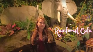 Rainforest Cafe in Tempe Arizona [upl. by Red]