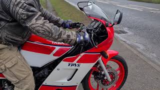 1990 YAMAHA RD350F2 YPVS TEST RIDE [upl. by Ojyram]