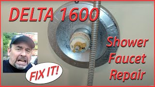 SHOWER DRIPPING How to Fix a Delta Shower Faucet leak Single Handle Universal Seals Delta 1600 [upl. by Carmon]