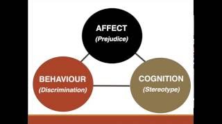 Prejudice Stereotypes amp Discrimination 1 of 2 [upl. by Ayikur]